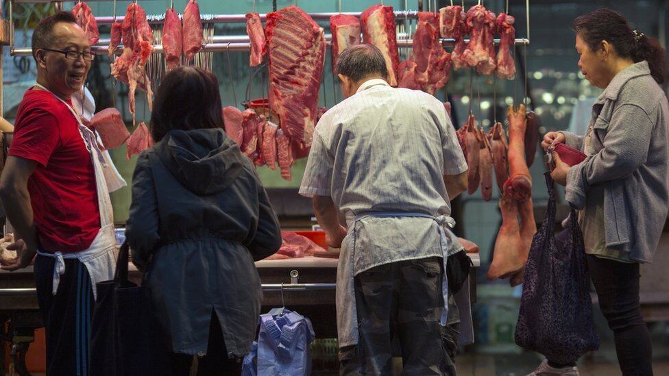 Dos 112 agentes de fiscalização, apenas oito são ligados ao Ministério da Agricultura e à prefeitura local