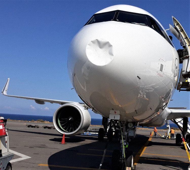 A321 da Lufthansa: dano durante o "bird strike"