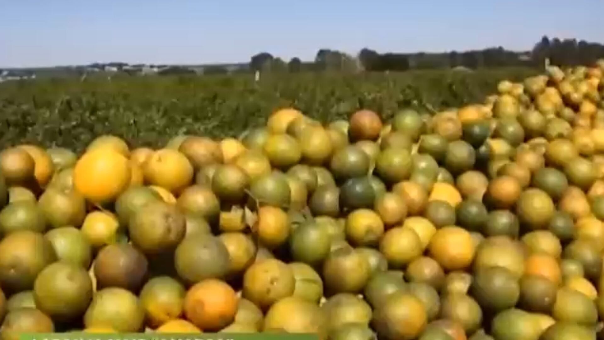Americanos já sentem no bolso os efeitos da tarifa sobre produtos brasileiros