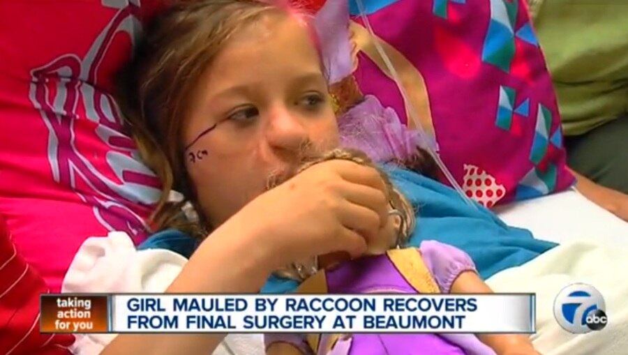 O animal era de estimação da família e escapou da gaiola