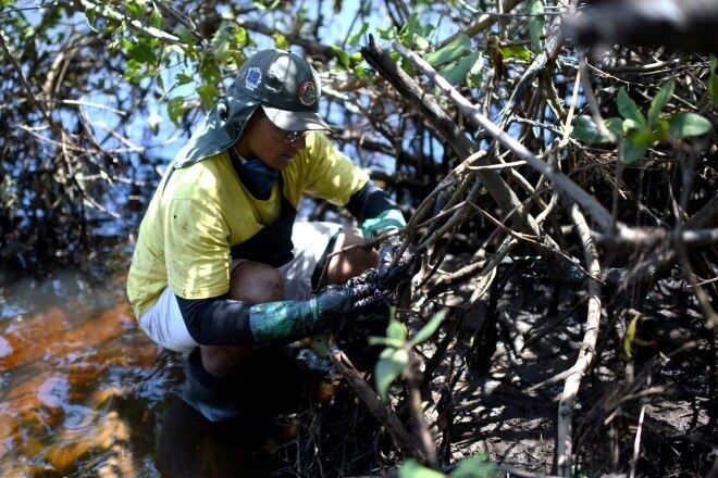 Manchas de óleo já atingiram mais de 200 localidades em dois meses