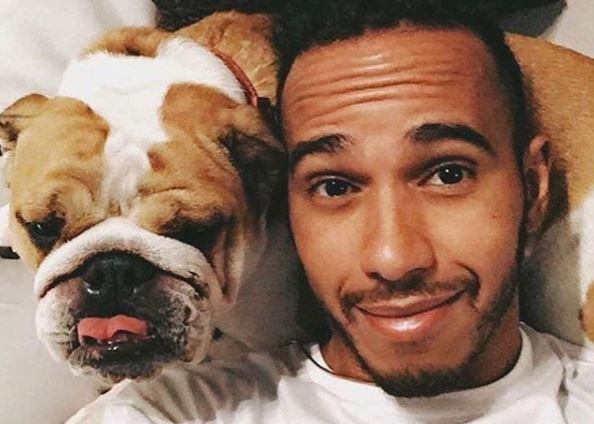 Hamilton costuma compartilhar a rotina do animal em suas redes sociais