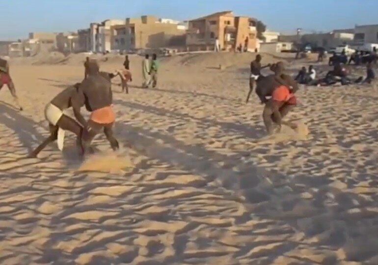 Você teria de coragem de encarar esses brutamontes no meio da areia?
