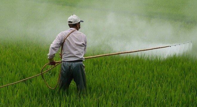 Os agrotóxicos ganharam uma nova classificação desde quinta-feira (1º)