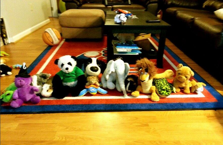 porquinho, twitter, fofo