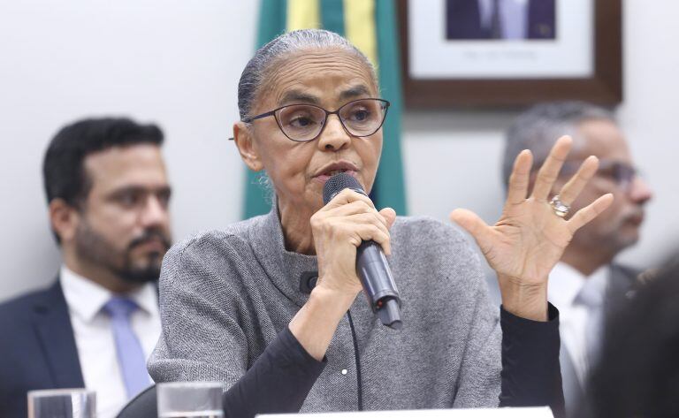Ministra Marina Silva é ofendida por deputado durante participação em audiência