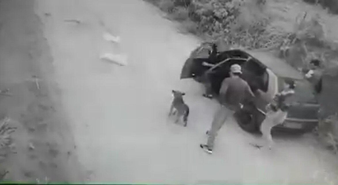 Grupo deixa cachorro em meio a uma estrada do município de Jarinu
