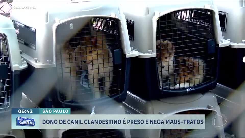 Dono de canil clandestino em Carapicuíba (SP) é preso e nega maus-tratos