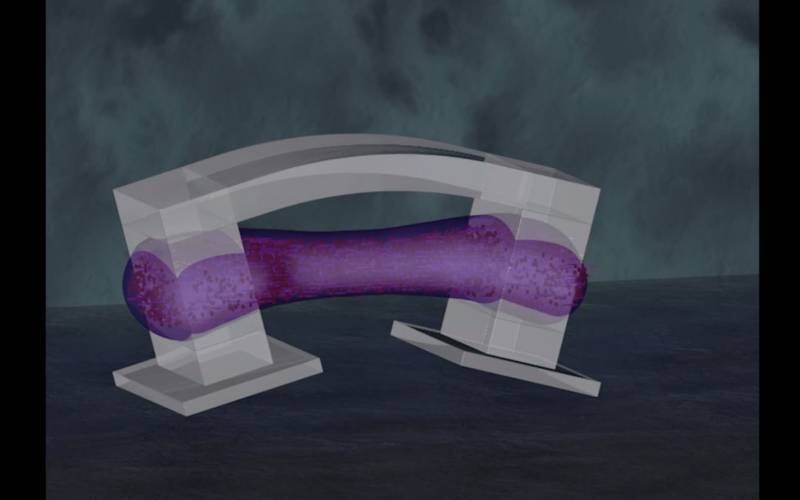 Pesquisadores acreditam que os bio-bots poderão ser usados para o monitoramento ambiental ou limpeza