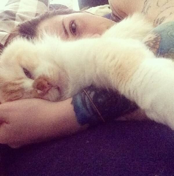 A "mãe" do ZombieCat publica fotos e conta o dia a dia do gato
tanto no Instagram, como no Facebook