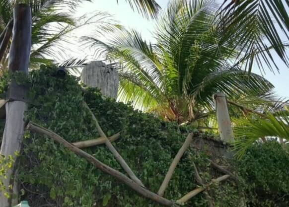 Carvalho infelizmente não resistiu e, após alguns dias em coma, morreu na última terça-feira (19). Investigações apontaram que a estrutura de madeira que delimitava a varanda do quarto estava em más condições

> Veja toda a programação da Record no R7 Play
