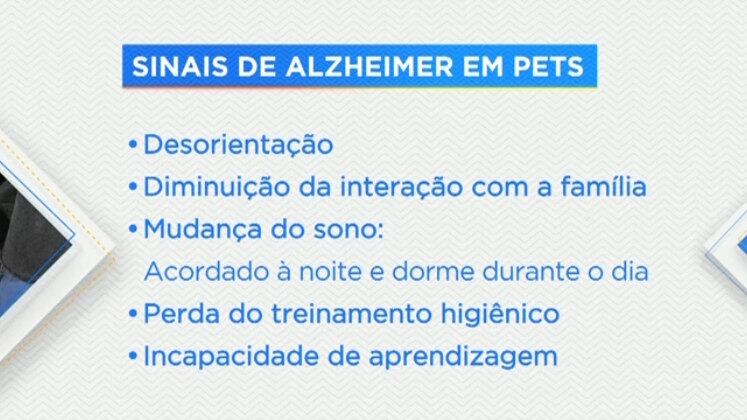 Atenção, tutor de pet! Fique atento aos sinais de Alzheimer: o animal fica mais desorientado, diminui a interação com a família e ocorre a mudança do ciclo de sono. Além disso, perde o treinamento higiênico sem lembrar os locais corretos e também acaba com a capacidade de aprendizagem