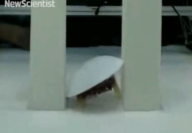 Como pode ser visto no vídeo, o robô age como sua versão da vida real, tanto que chega até a ser assustador