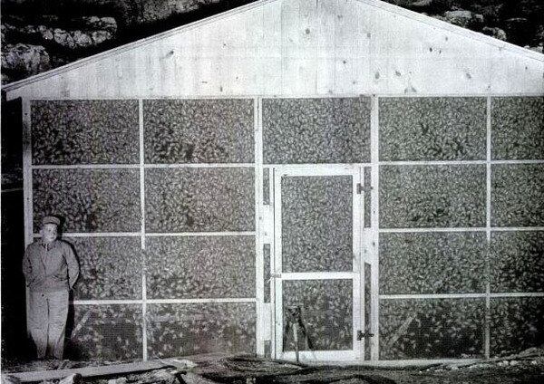 Em determinada altura, o invólucro da gaiolas se abriria e a aglomeração de morcegos se dispersaria em busca de um abrigo, que seria determinado em função dos alvos escolhidos