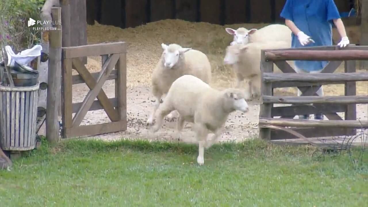 A Fazenda, Ana Paula