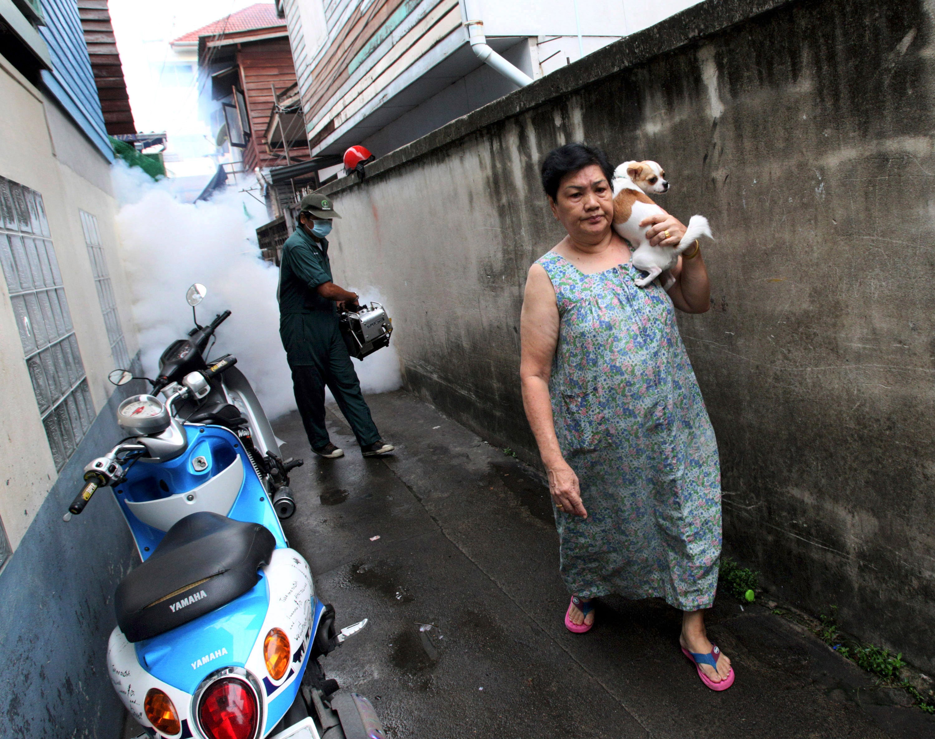 repelente mosquitos Tailândia