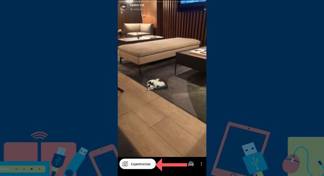 Filtro-Instagram- gatos-tutorial
