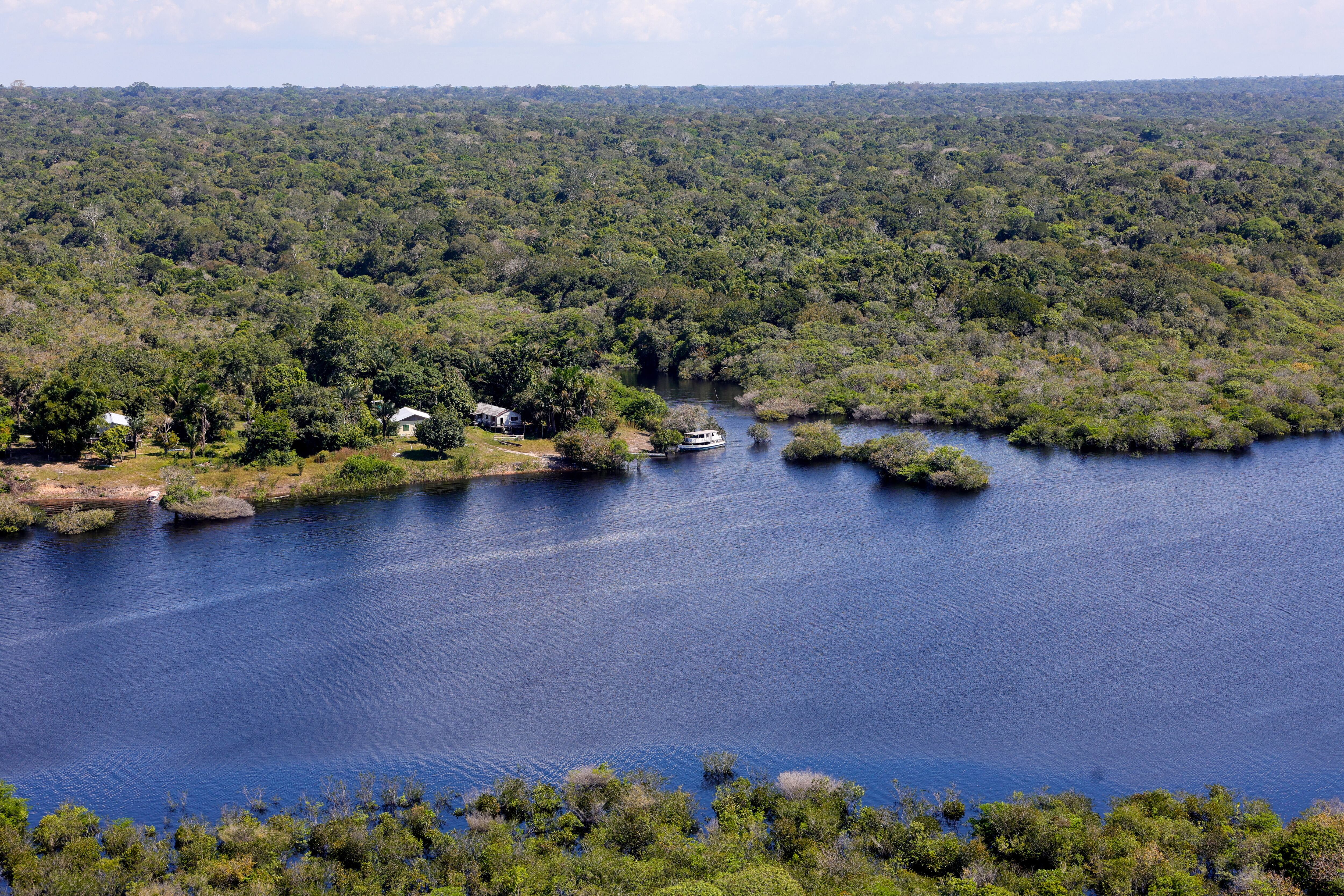 Floresta margeada pelo Rio Negro