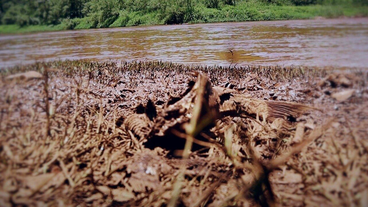 Defesa Civil vai receber R$ 96 milhões