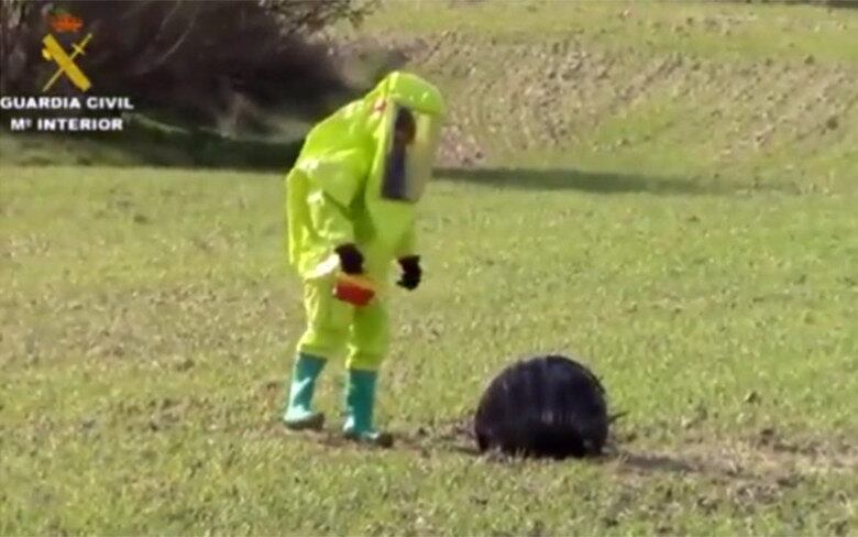 Teve mais objetos bizarros caindo ao redor do mundo...
Boa parte dos 500 mil habitantes da província espanhola de Múrcia está
em pânico. Isso porque três OVNIs (Objeto Voador Não Identificado)
caíram na área rural da região em apenas uma semana! As "Estrelas da
Morte" como foram apelidadas pelos moradores, foram enviadas para
análises, mas até agora ainda não houve uma confirmação do que se
tratam. A última delas caiu no último final de semana
