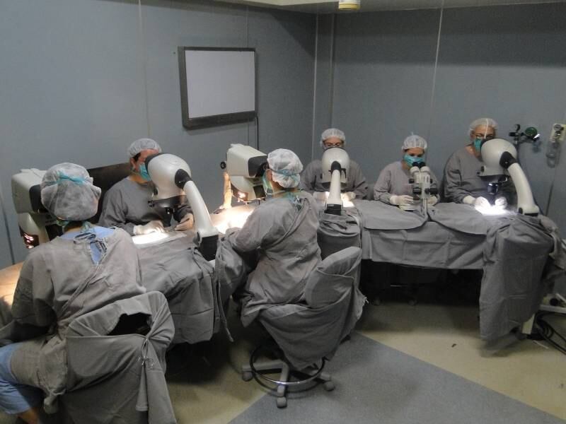 Seis assistentes, cada um com um microscópio de
última geração, dividem essa faixa em fragmentos até chegarem às unidades
foliculares, um conjunto de raízes com um, dois, três e, em casos raros, até
quatro fios. Quando as unidades são retiradas assim,
manualmente, a técnica se chama FUT. Em alguns casos, usa-se um motor manual
para esse serviço. É a FUE, do inglês Folicular Unit Extration (Extração de
Unidade Folicular)