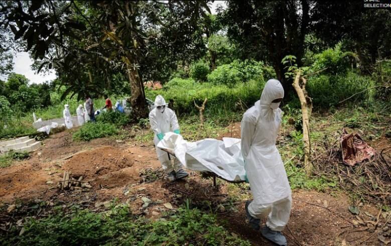 África Ocidental sofre o maior surto da doença desde sua descoberta