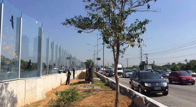 Obra do muro de vidro na Raia Olímpica da USP