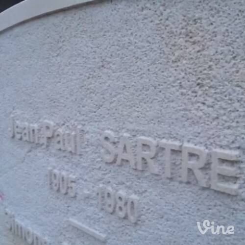 De acordo com o Daily Dot, o estilo de selfie já está sendo chamado de "gravfies", uma junção da palavra "grave" – túmulo em inglês – e do termo "selfie". Na rede social Vine, o usuário postou pequenos vídeos mostrando as lápides com nomes famosos