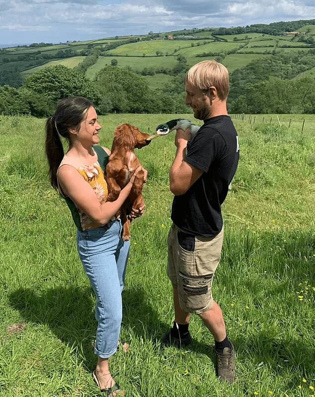 Todas as manhãs, a primeira coisa que Dennis, o pato, faz ao sair da gaiola é ir em busca de sua amiga Fern