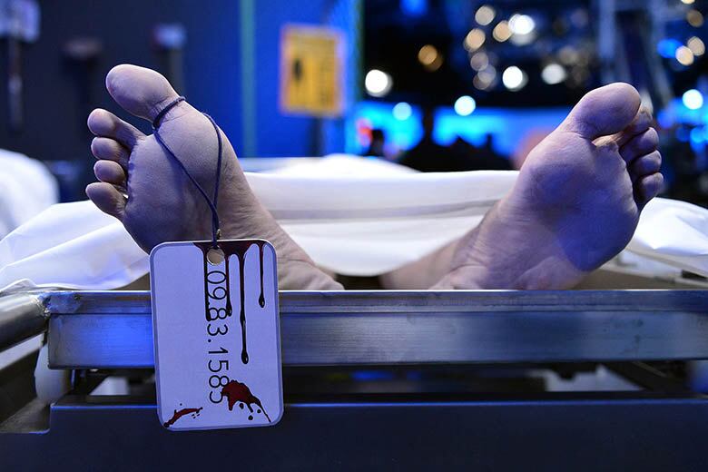 Os zumbis invadiram o programa Roberto Justus +

+ Geraldo Luís revela ter visto a morte de perto: “Não dá para falar a quantidade de corpos que eu vi”
+ Só no R7! Amin Khader revela quem é a famosa mais sem noção: “Falou loucuras para mim”
+ Até clique do bumbum! Veja as selfies mais anormais compartilhadas pelos famosos
+ Relembre os casamentos mais extravagantes do mundo dos famosos

