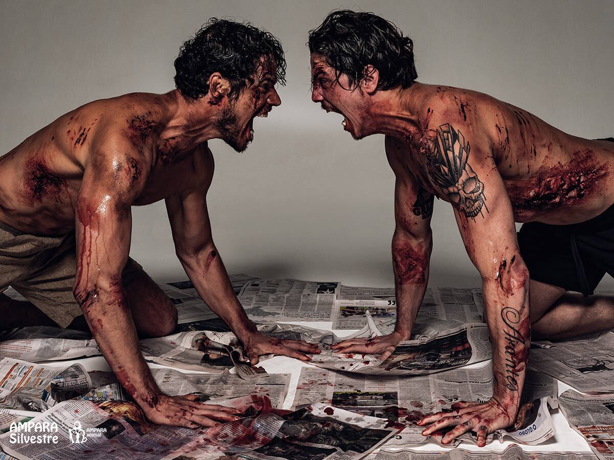 Animais violentados, por (José Loreto e Rômulo
Arantes Neto