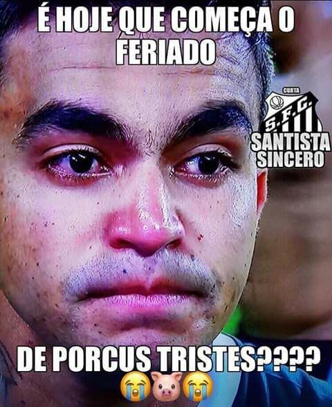 O Palmeiras perdeu para o Santos e o feriado não será nada feliz para o torcedor. Além da derrota ainda foi para um rival paulista. Veja os principais memes