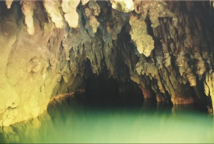 A Waitomo Glowworm também é conhecida pelos estudiosos e exploradores de caverna pela sua grande quantidade de flores de caverna, que são fungos e cogumelos que se formam nas paredes