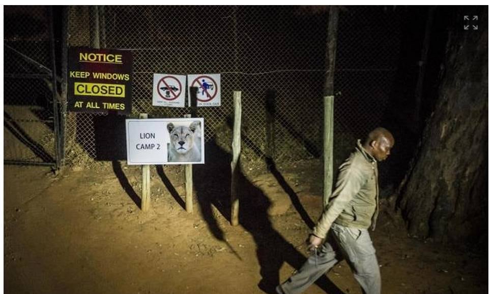 Ele sofreu um ataque do coração e alguns arranhões e atualmente está internado. Potgieter dirigia o veículo no momento do ataque