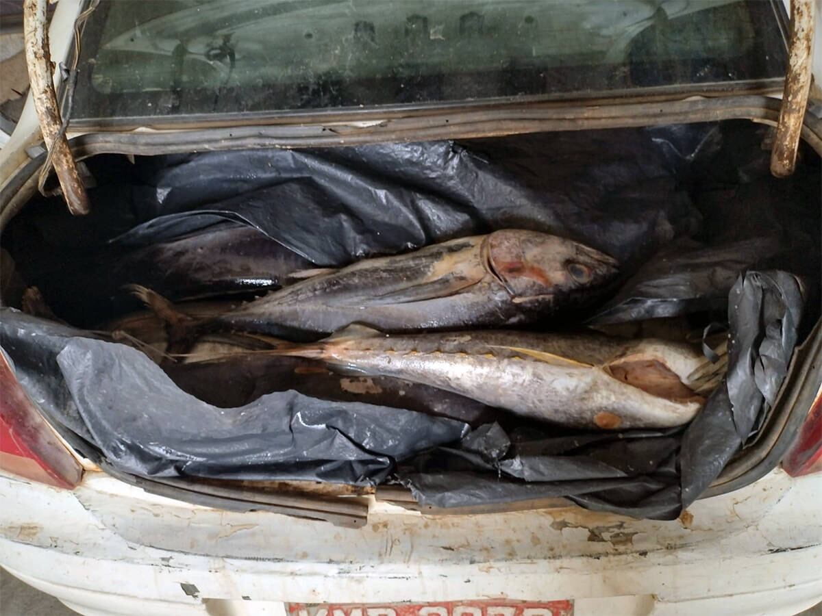 Portal Correio