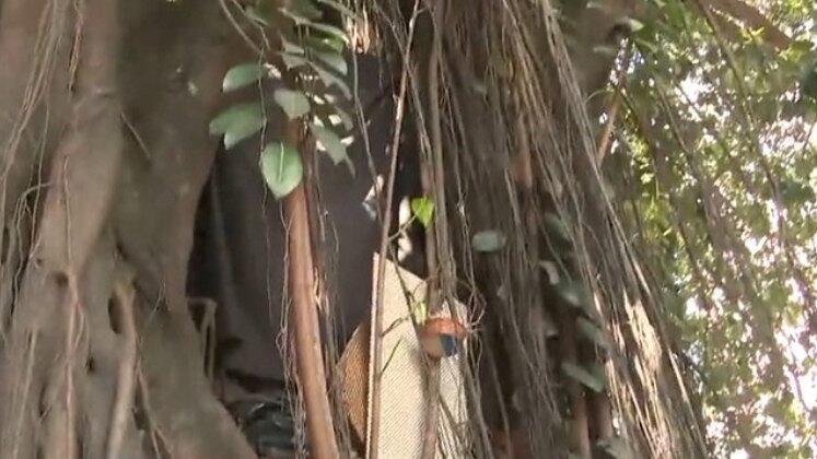 Alan fez uma rede onde dorme todos os dias. Criou uma proteção contra a chuva e guarda os pertences bem no alto. Ele afirmou que é um lugar confortável para morar, apesar do calor