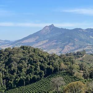 Produtores investem em tecnologia nas lavouras de café em Minas