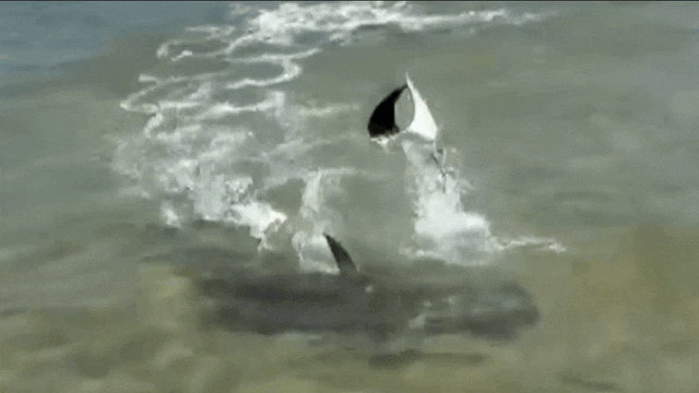 Reprodução/Record News