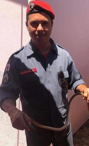 Cobra era de brinquedo