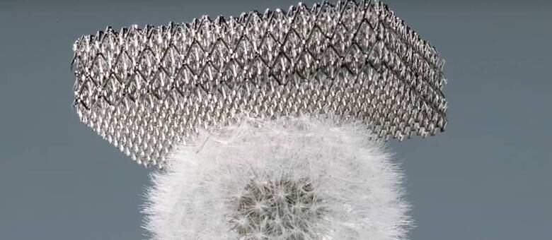 A grade de metal criada pela Boeing equilibrada em cima de um dente-de-leão