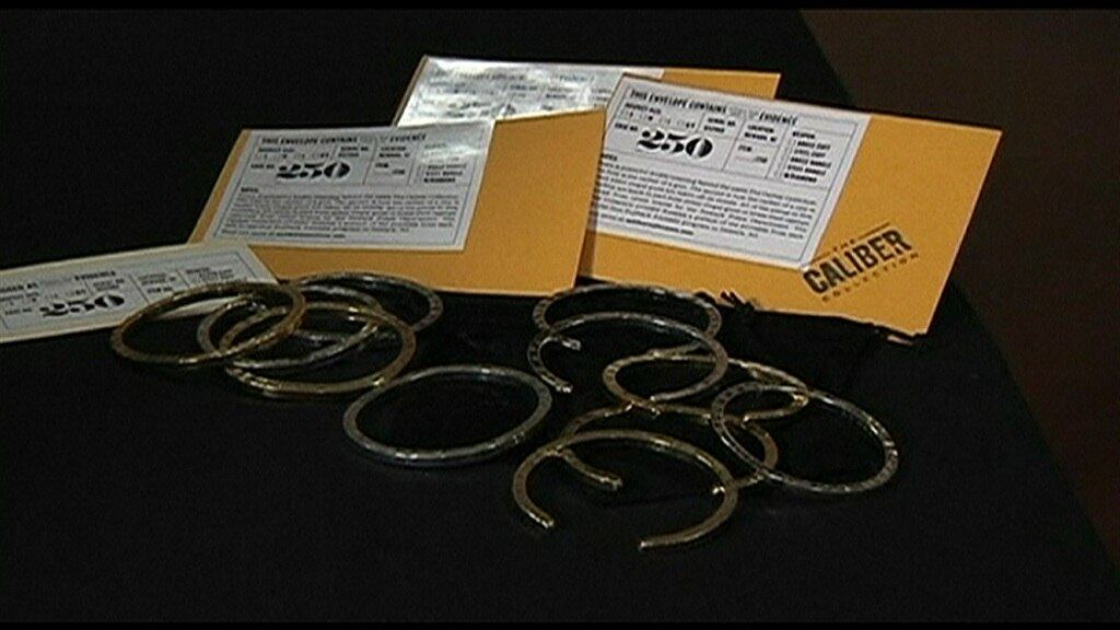 O projeto vem sendo implementado em um momento em que a questão do porte de armas ocupa o topo do noticiário e das prioridades políticas em Washington, por conta do recente massacre na escola primária Sandy Hook , em Newtown, Connecticut, no qual 26 crianças e professores foram mortos por um atirador