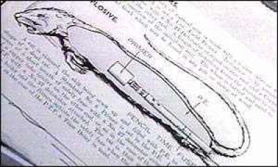 E corpos de ratos também foram experimentados levando explosivos na Segunda Guerra, em projeto idealizado pela Inglaterra. Os animais mortos eram colocados em cargas de carvão, onde eram comumente encontrados. Quando o carregamento era despejado em caldeiras, ocorriam as explosões em alvos pré-determinados