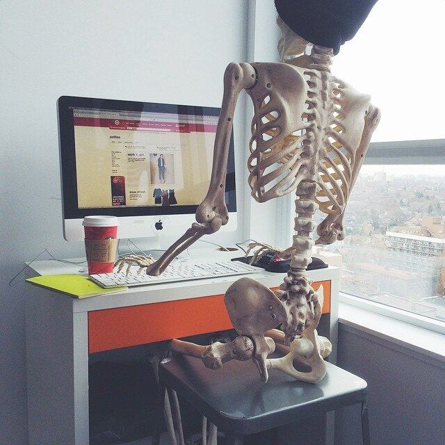 Reparou que a Skellie também não larga o computador, não é? Ela trabalha com ele, mas mesmo de folga está sempre conectada. Ela é uma profissional linha dura!