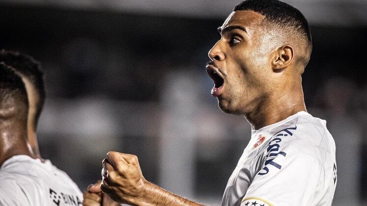 Santos 

Após passar por um rebaixamento em 2023, o Peixe ressurgiu e está entre os quatro times que ainda sonham com a taça. O alvinegro praiano estava desde 2019 sem disputar uma semifinal e, agora, busca conquistar mais um título para a sua história