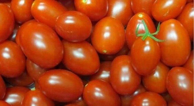 O tomate da Embrapa tem cor alaranjada e é rico em vitamina A
