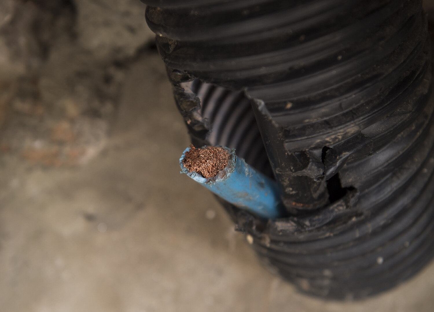 Toda a fiação elétrica da parte externa da escola foi levada.
