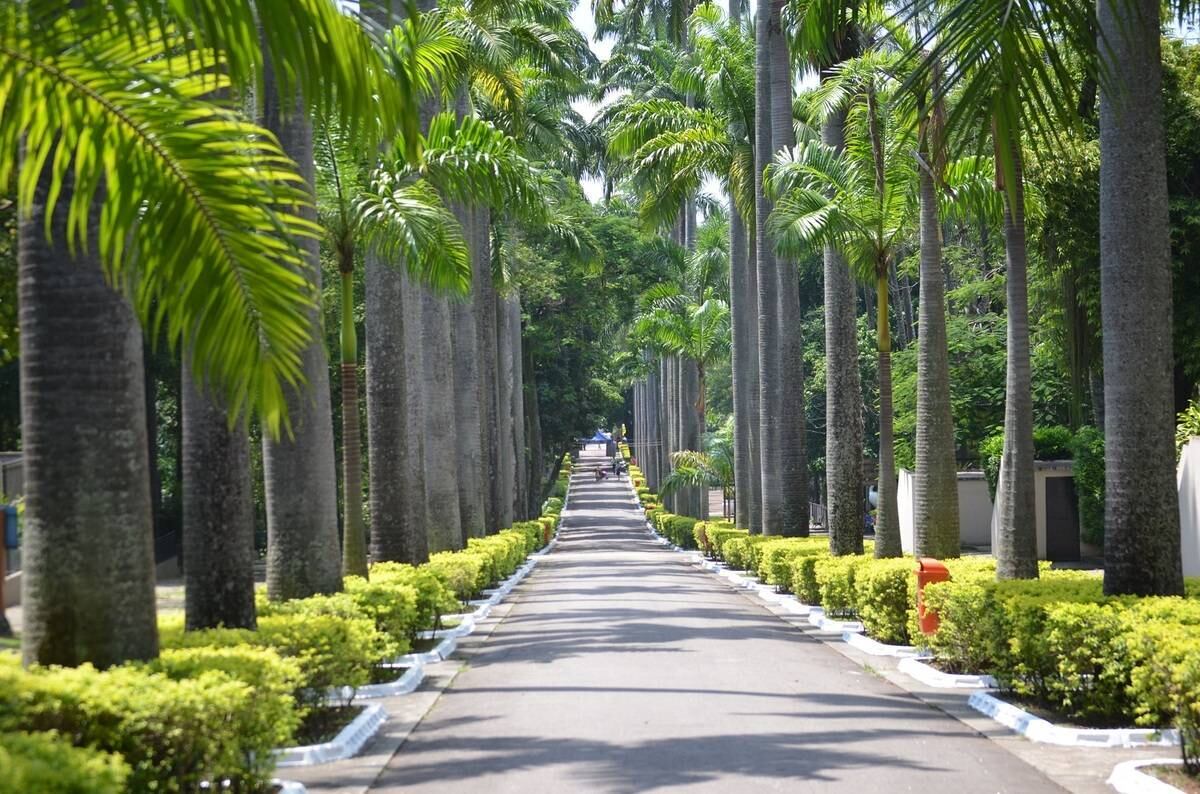 A reestruturação será feita em uma área de 138 mil metros quadrados, que também contará com novas lojas e restaurantes