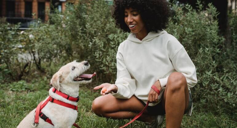 'Pet sitter é basicamente uma babá de animais', diz especialista