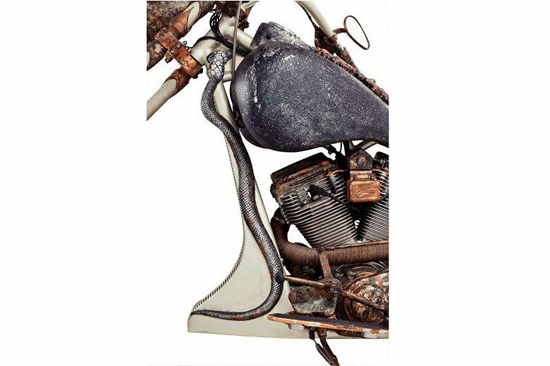 Em toda a carroceria da supermoto há cobras esculpidas, que seriam parte da "cabeleira" da Medusa
VEJA TAMBÉM
Ex-clone do Mini Cooper, hatch chinês Lifan 330 agora lembra Fiat 500L e quer nova chance no Brasil
Oráculo R7 Carros: conheça todos os detalhes do hatch compacto Brio, provável popular nacional da Honda
Quer saber tudo sobre carros? Acesse www.r7.com/carros