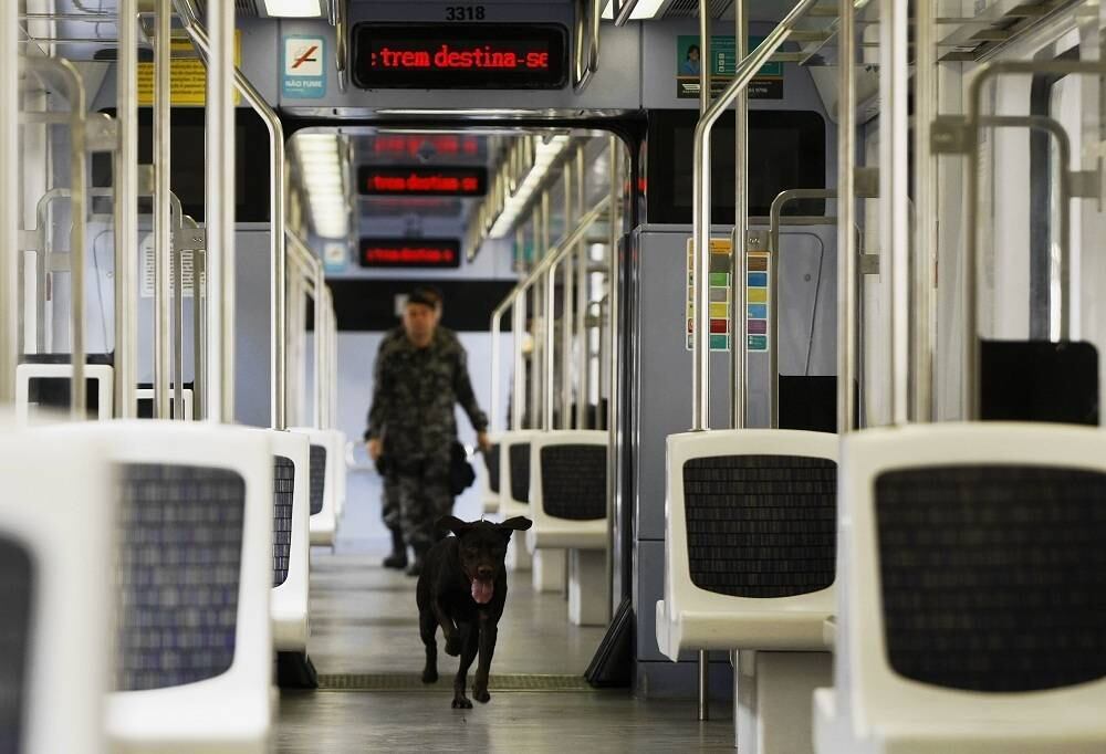 Cães treinaram nesta segunda-feira (11) na Central do Brasil
